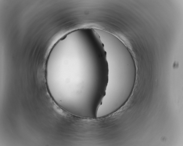 X0000090870816200708101332