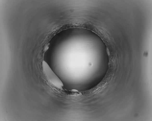 X0000090870817200708101331