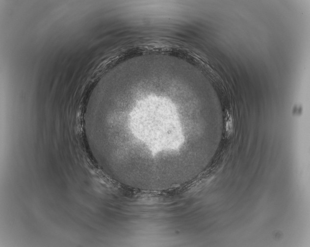 X0000090870819200708101331