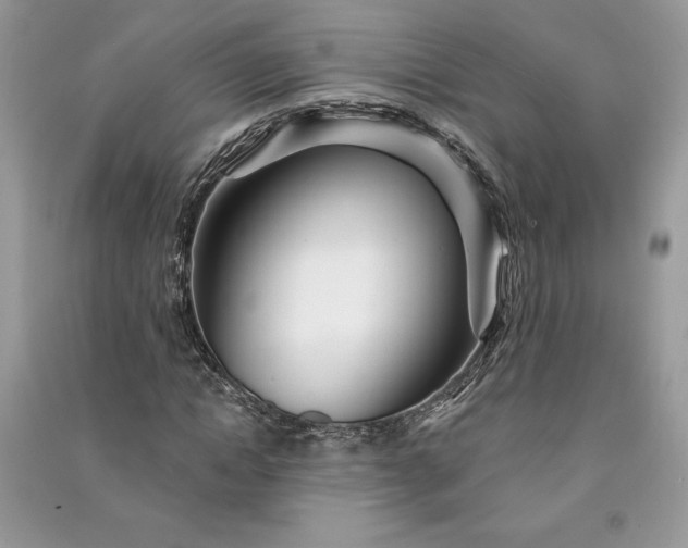 X0000090870822200708101332