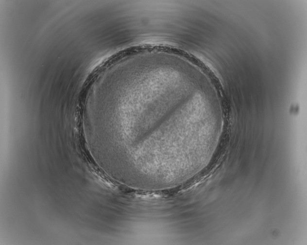 X0000090870823200708101332