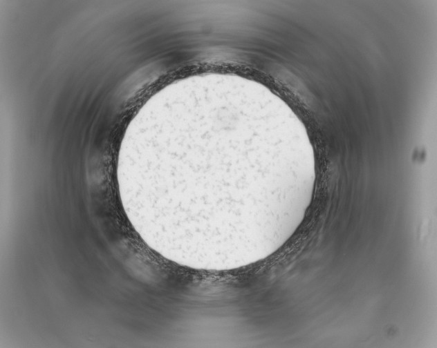 X0000090870824200708101332