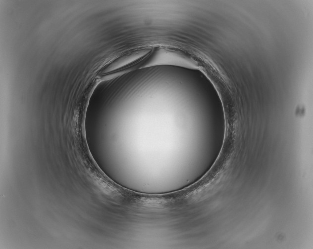 X0000090870825200708101332