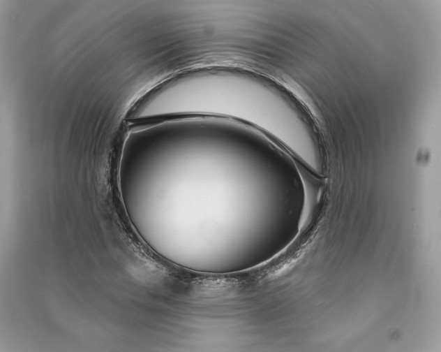 X0000090870826200708101332