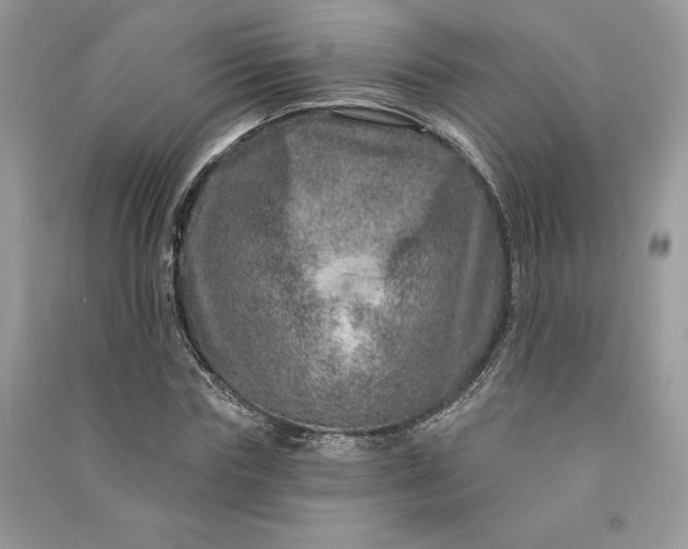 X0000090870827200708101332