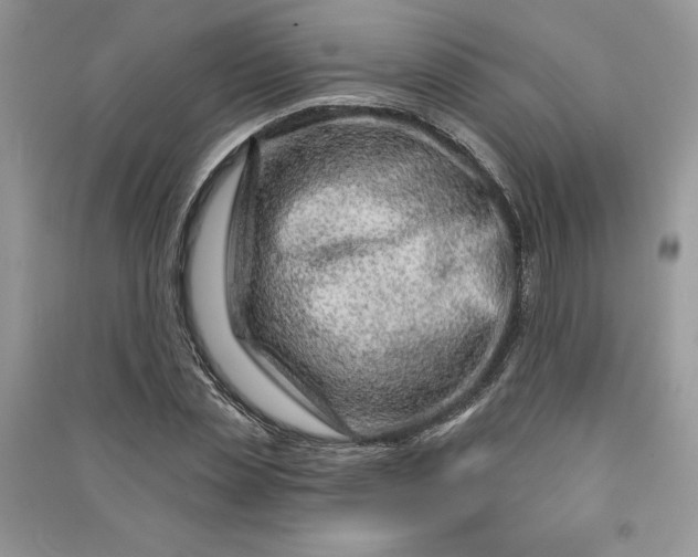 X0000090870829200708101332