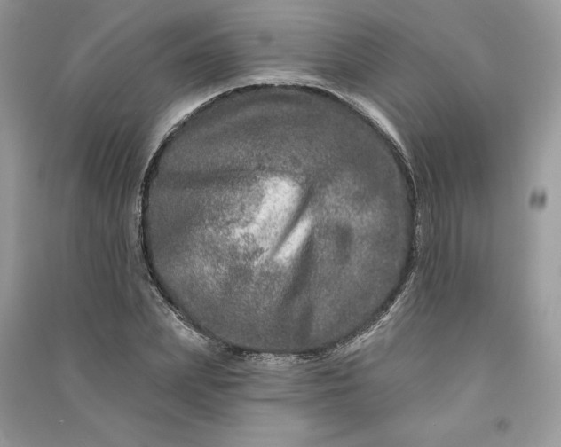 X0000090870831200708101332