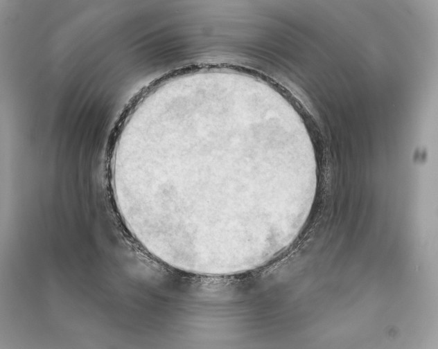 X0000090870832200708101332