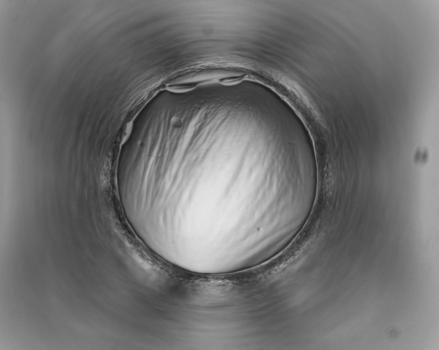 X0000090870833200708101332