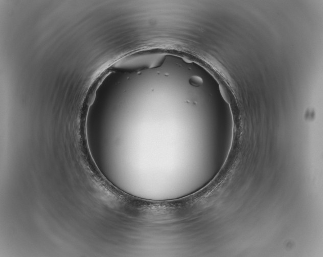 X0000090870834200708101332