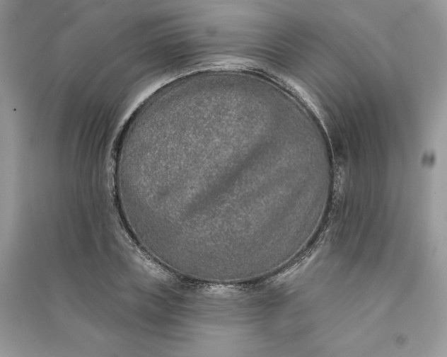 X0000090870835200708101332