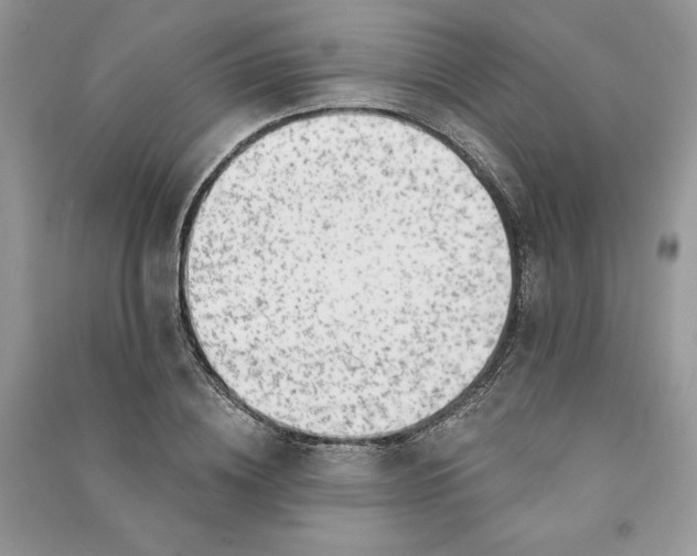 X0000090870836200708101332