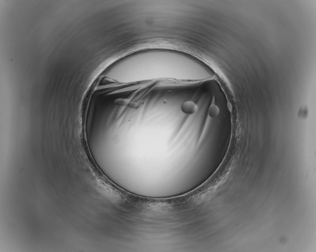 X0000090870837200708101332