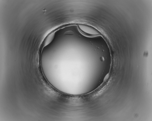 X0000090870838200708101332