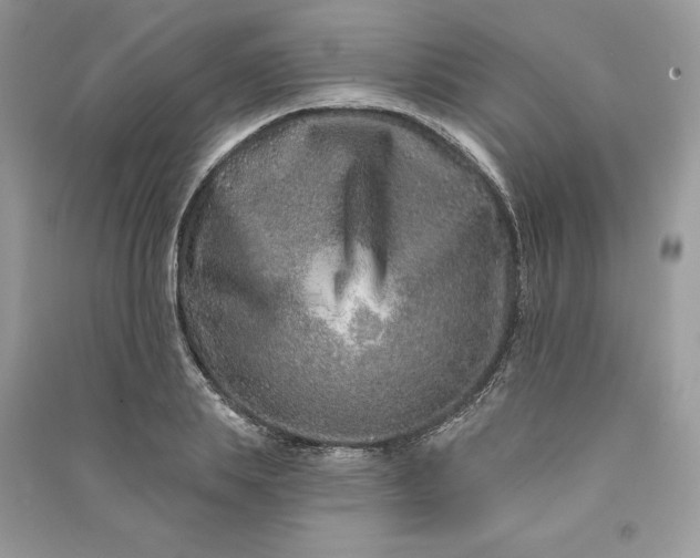 X0000090870839200708101332