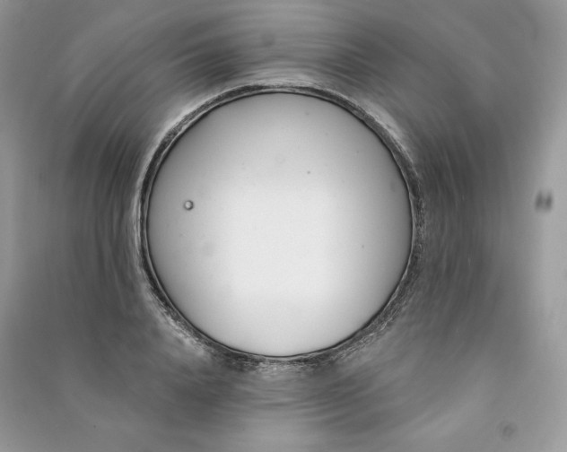 X0000090870840200708101332