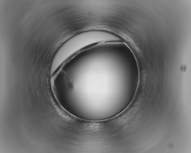 X0000090870841200708101332