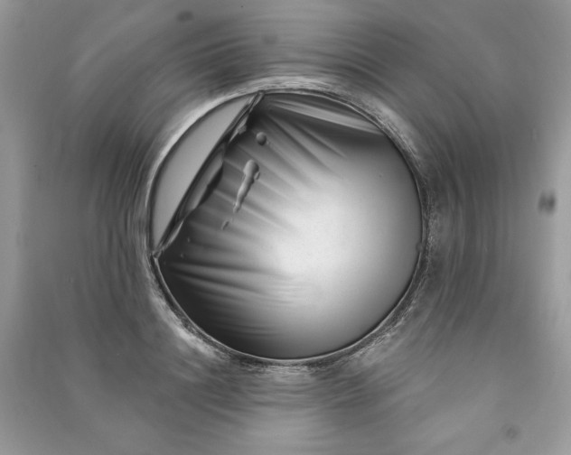 X0000090870844200708101332