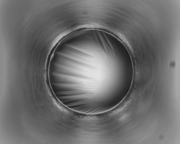 X0000090870845200708101332