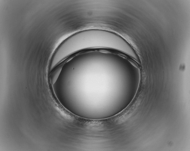 X0000090870846200708101332