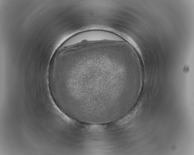 X0000090870847200708101332