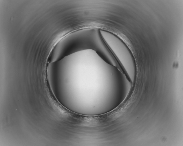 X0000090870850200708101332