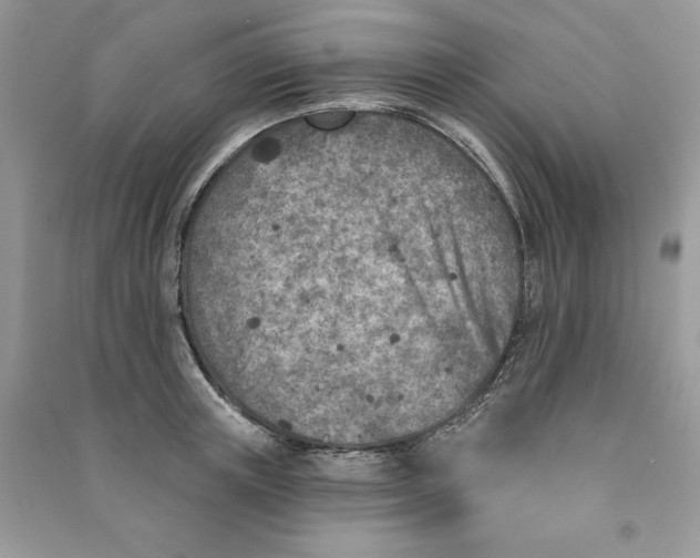 X0000090870851200708101332