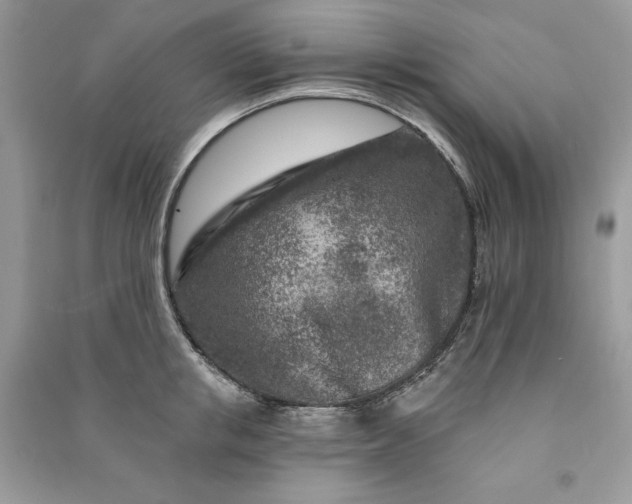 X0000090870853200708101332