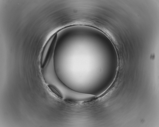 X0000090870854200708101332