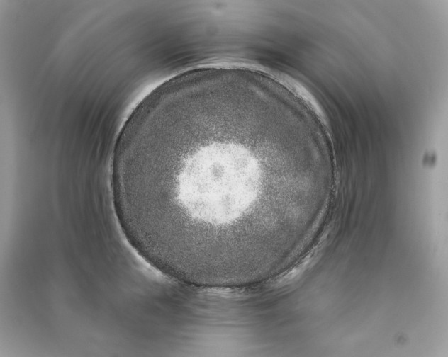 X0000090870855200708101332