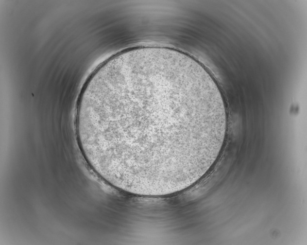 X0000090870856200708101332