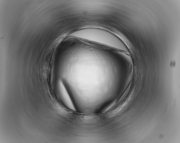 X0000090870857200708101332