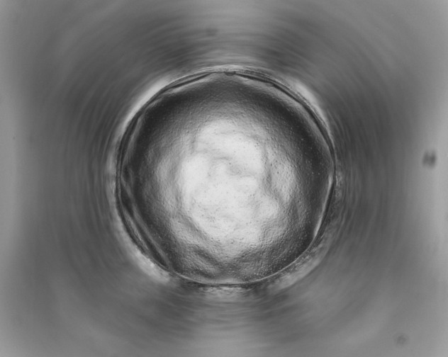 X0000090870859200708101332