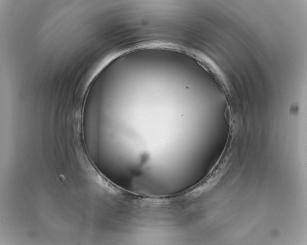 X0000090870860200708101332