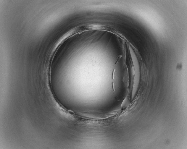 X0000090870861200708101332