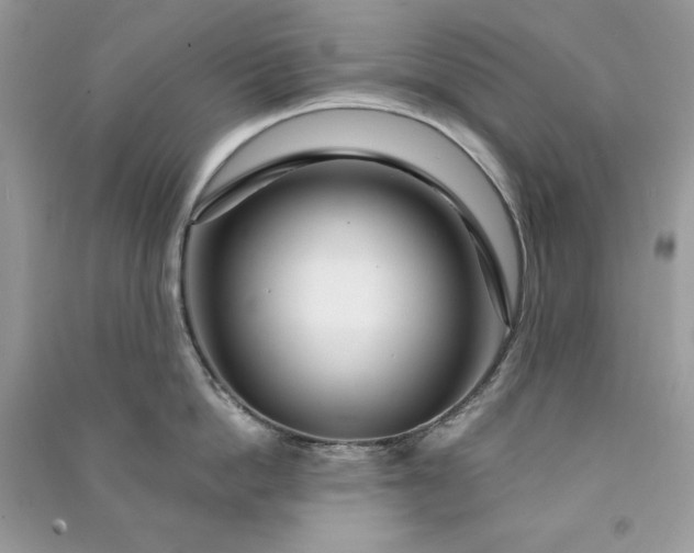 X0000090870862200708101332