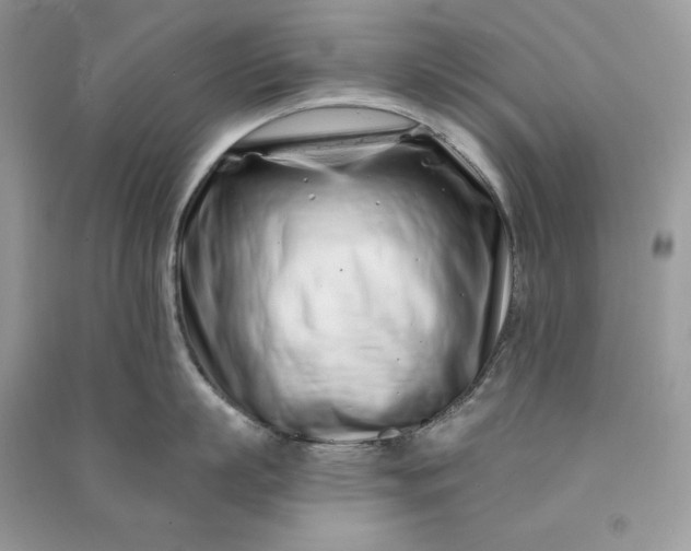 X0000090870863200708101332