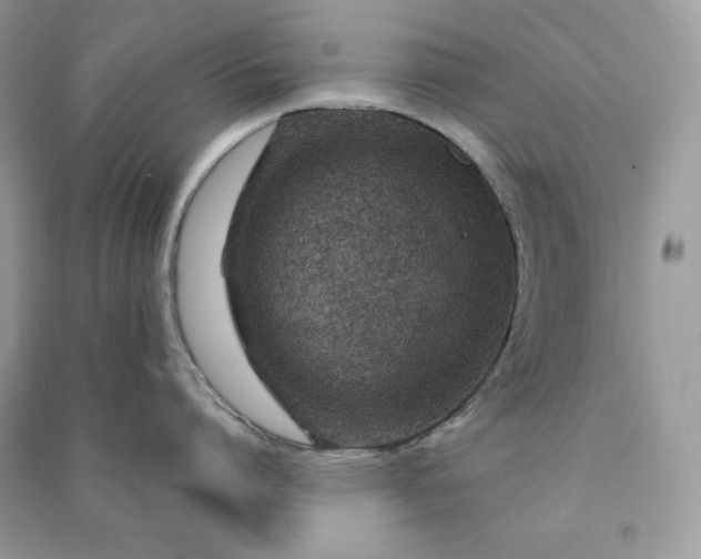 X0000090870864200708101332