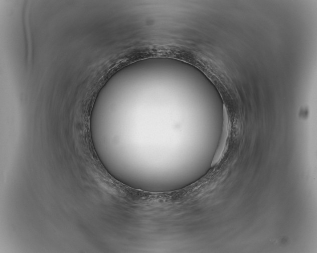 X0000090870865200708101331