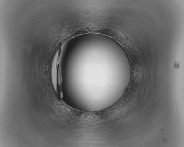 X0000090870866200708101331