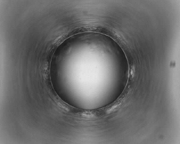 X0000090870867200708101331