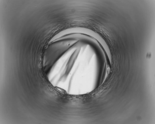 X0000090870868200708101331