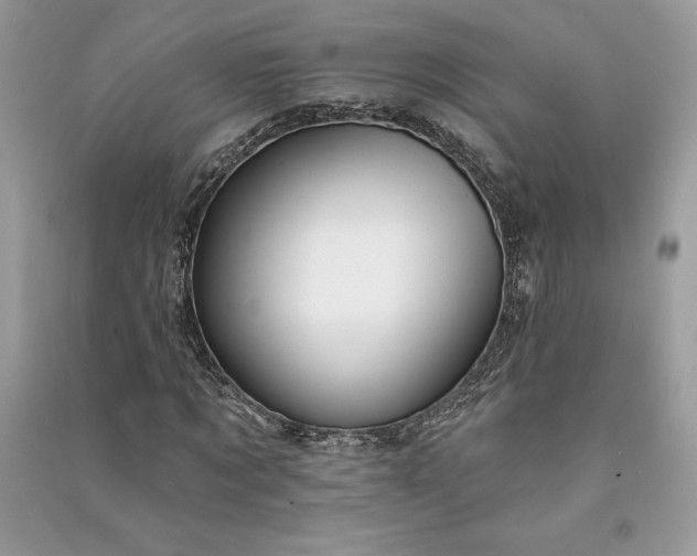 X0000090870869200708101331