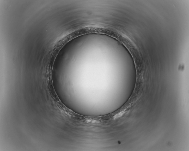 X0000090870870200708101331