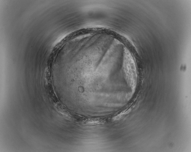 X0000090870871200708101331