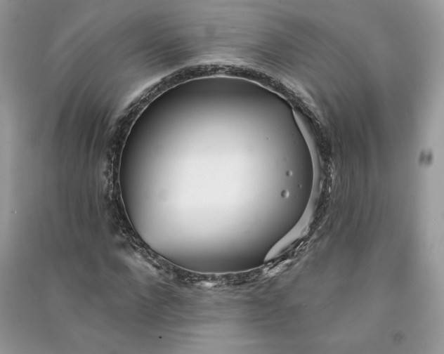 X0000090870872200708101331