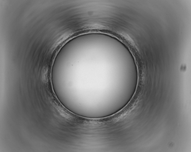 X0000090870873200708101331