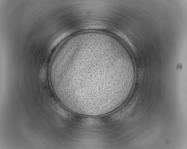 X0000090870874200708101331