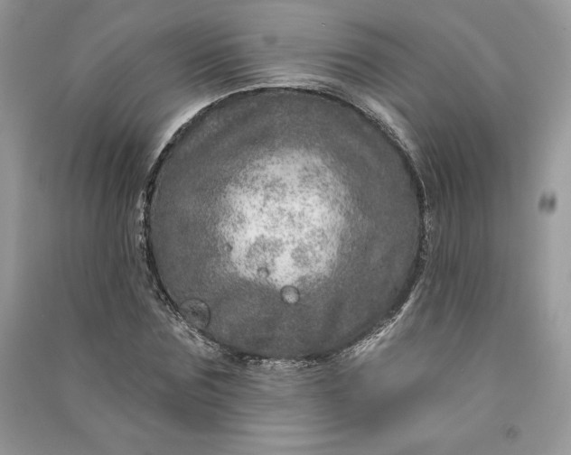 X0000090870875200708101331