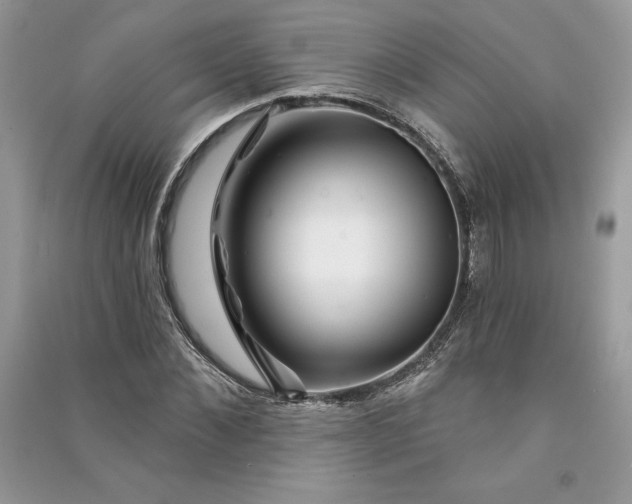 X0000090870876200708101331